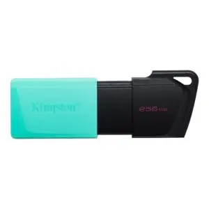 Kingston 256GB USB 3.2 Gen 1 DataTraveler Exodia M Flash Drive - Black and Teal